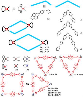 Biomedical Applications of Metallosupramolecular Assemblies—Structural Aspects of the Anticancer Activity